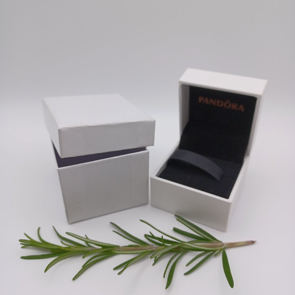✨️ 5 for $15 - Pandora Box - Empty with outer box